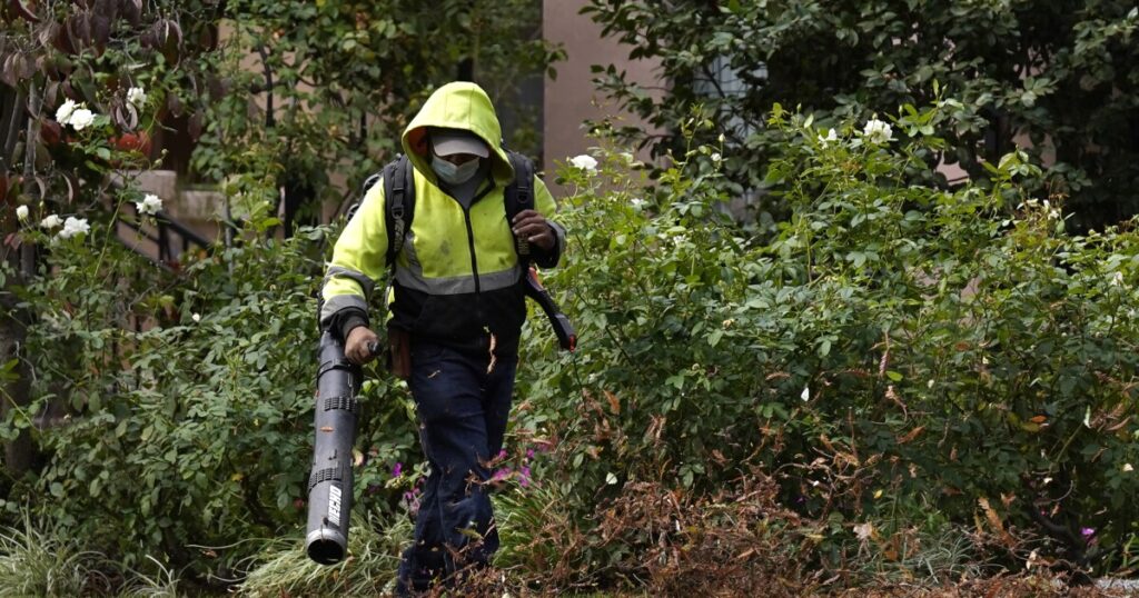 portland-plots-ban-on-gas-powered-leaf-blowers-as-green-restrictions-inch-into-another-city