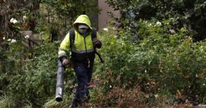 portland-plots-ban-on-gas-powered-leaf-blowers-as-green-restrictions-inch-into-another-city
