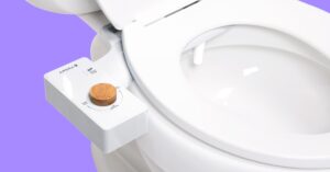 the-best-bidets-for-every-bathroom-and-budget