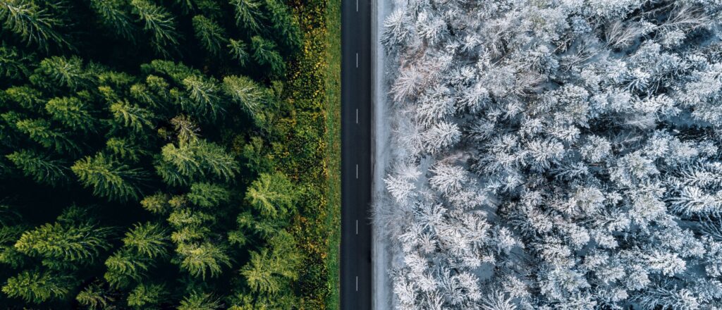 forecasters-reveal-whether-us-will-have-a-strong-or-weak-winter