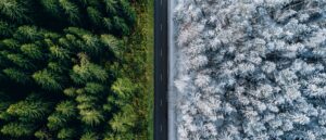 forecasters-reveal-whether-us-will-have-a-strong-or-weak-winter