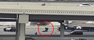 video-captures-good-samaritan-pulling-off-heroic-rescue-of-police-officer-with-bullets-flying