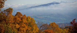 hiker’s-body-found-with-dog-still-by-his-side-nearly-3-months-after-disappearance
