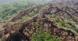 hawaii-wildfire-in-oahu-threatens-rare-species-as-islands-suffer-another-disaster