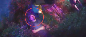 video-shows-cop-using-taser-repeatedly-on-teen-panicking-after-car-crash