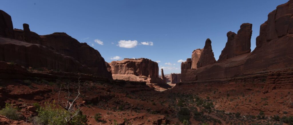 man-lost-in-desert-reveals-the-unlikely-way-he-scrounged-food-and-water