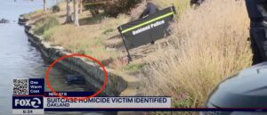 ‘this-thing-is-heavy’:-volunteers-discover-dead-body-stuffed-in-suitcase-dumped-in-lake