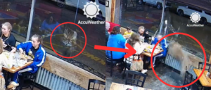 diners-get-the-surprise-of-their-lives-when-wild-animal-leaps-through-restaurant-window