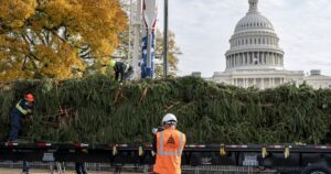 capitol-christmas-tree-arrives-in-washington