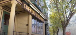‘first-time-in-40-years’:-hawk-bursts-through-coffee-shop-window,-attacks-patron
