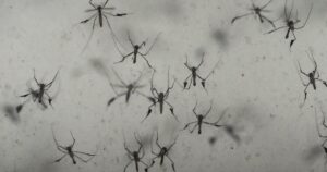 class-action-settlement:-what-to-know-about-the-$3.6-million-spartan-mosquito-repellent-settlement