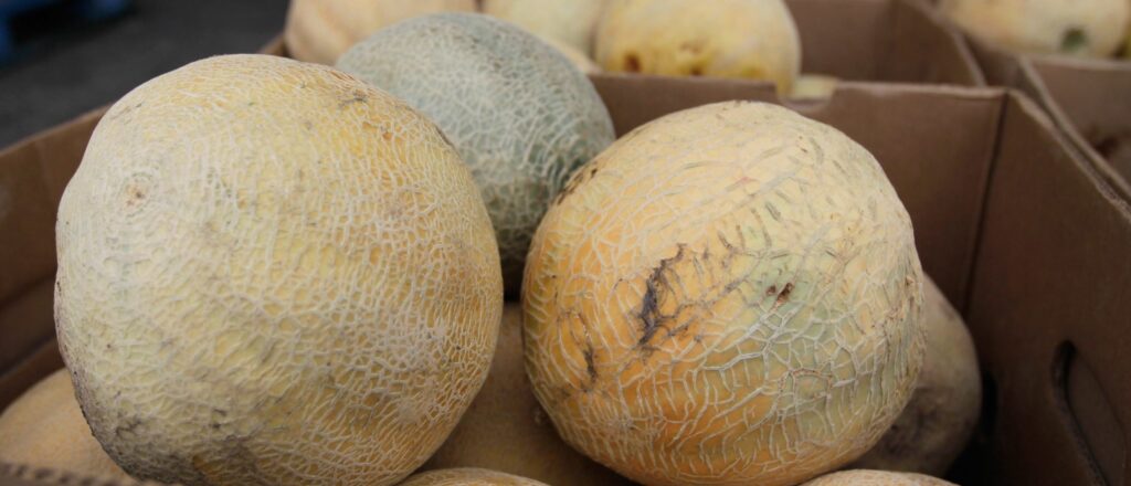 salmonella-outbreak-sparks-recall-across-15-states