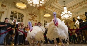 who-are-the-turkeys-set-to-be-pardoned-by-biden-this-week?
