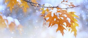 coast-to-coast-storms-to-bring-thanksgiving-week-travel-disruptions
