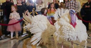 watch-live:-biden-pardons-turkeys-liberty-and-bell-in-thanksgiving-tradition