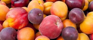 one-dead,-10-hospitalized-as-listeria-spreads-across-seven-states-due-to-contaminated-fruit
