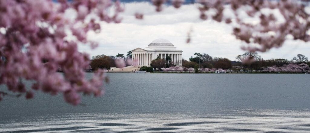terrorist-beaver-seriously-damages-national-landmark