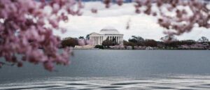 terrorist-beaver-seriously-damages-national-landmark