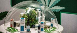 woman-faces-19-month-sentence-for-denying-daughter-cancer-treatments,-opting-for-cbd-instead