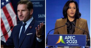 biden-challenger-dean-phillips-trashed-by-fellow-democrat-for-criticizing-kamala-harris