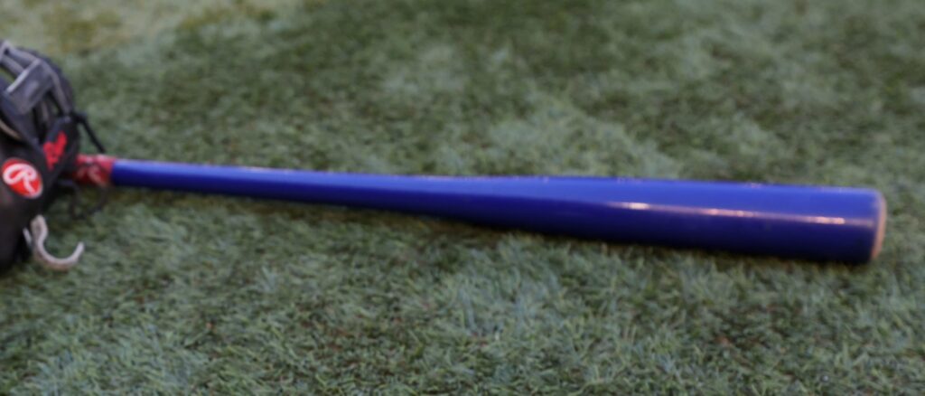 high-school-baseball-player-in-coma-after-he-was-accidentally-hit-by-bat