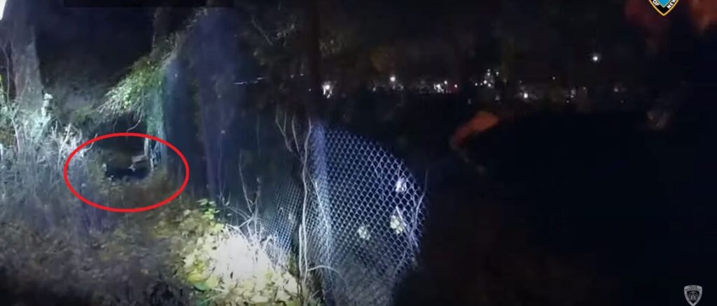 bodycam-video-shows-stolen-vehicle-suspect-come-under-hail-of-police-fire