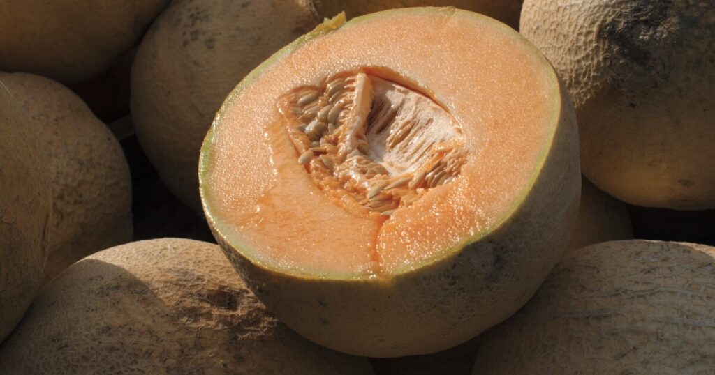 cdc-warns-of-salmonella-outbreak-in-cantaloupes-as-two-dead,-dozens-hospitalized
