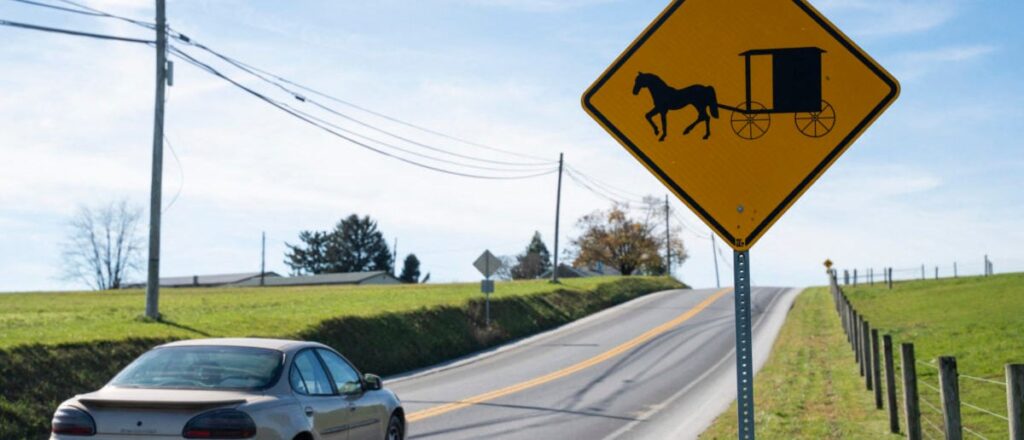 man-out-on-bail-crashes-into-amish-horse-and-buggy