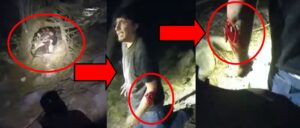 police-k-9’s-attack-leaves-bloodied-suspect-with-flesh-hanging-off-his-arm,-video-shows
