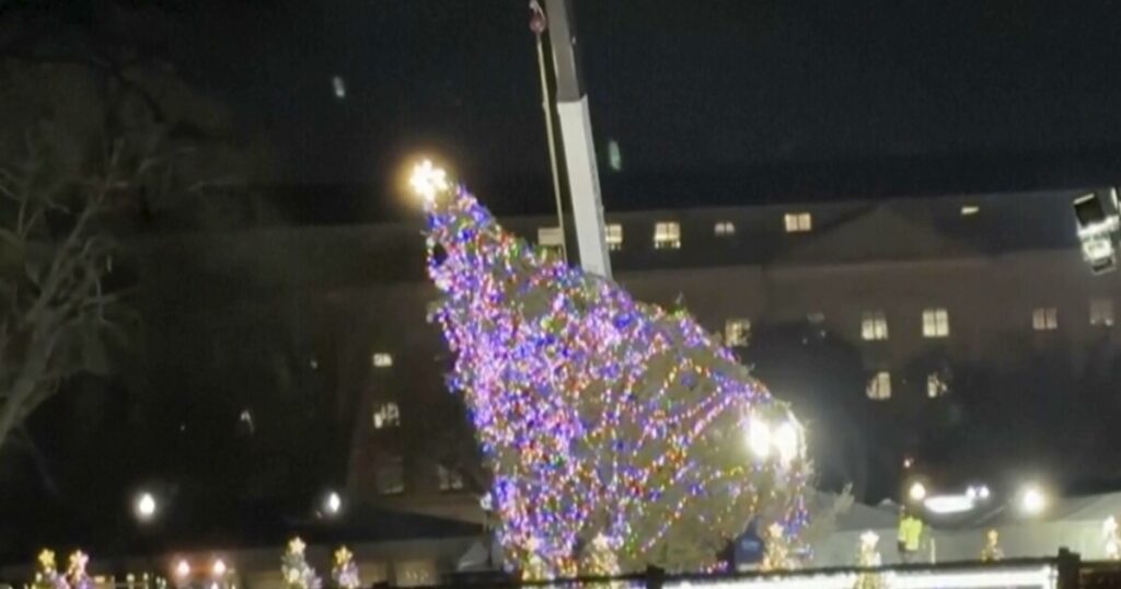 national-christmas-tree-lighting-to-continue-as-planned-in-wake-of-tree-falling