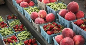 free-school-breakfast-funding-questioned