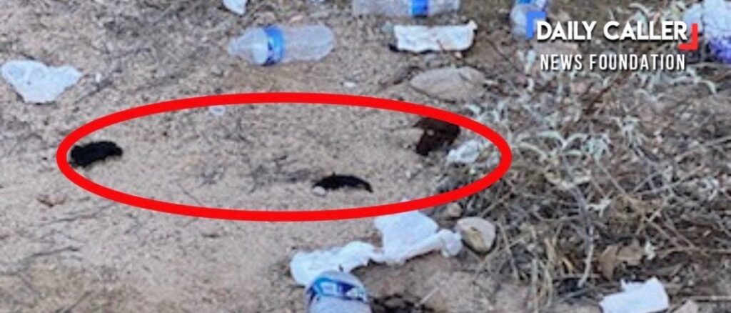 national-monument-covered-in-feces,-trash-thanks-to-surge-in-illegal-immigration