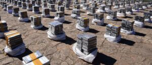 doj-announces-mass-charging-of-alleged-cartel-linked-drug-traffickers