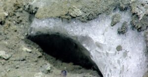 don’t-worry,-it’s-just-‘fire-ice’