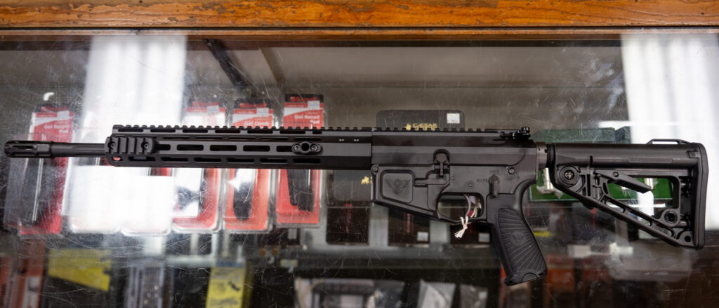 newly-proposed-bill-plots-a-novel-attack-on-americans’-gun-rights