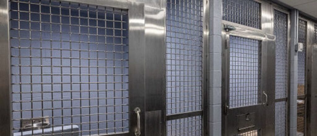 police-arrest-‘undocumented’-man-in-murder-of-high-school-cheerleader-found-in-bathtub
