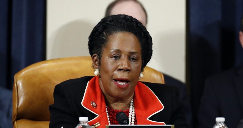 texas-democratic-rep.-sheila-jackson-lee-files-for-reelection-after-mayoral-loss