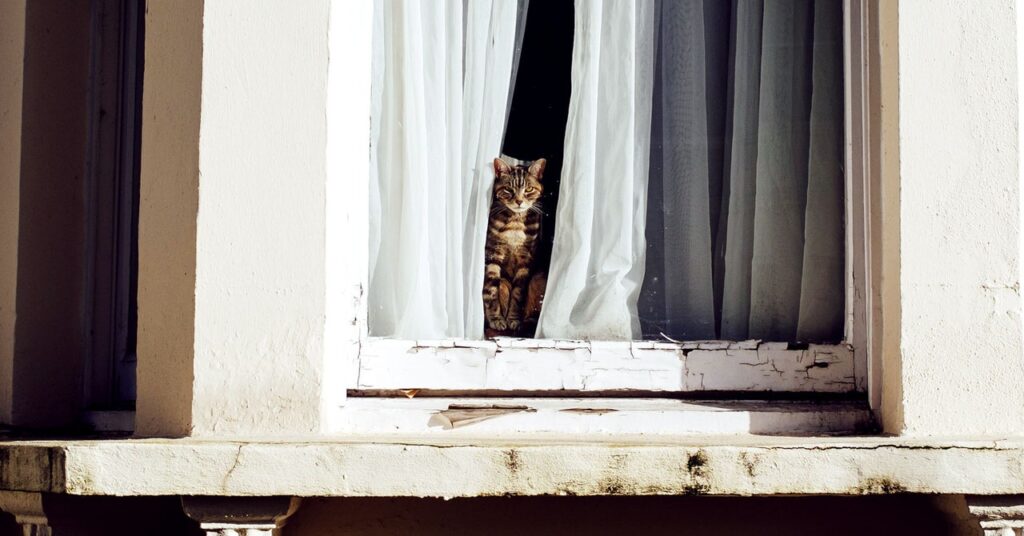 here’s-scientific-proof-your-cat-will-eat-almost-anything