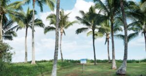 inside-mark-zuckerberg’s-top-secret-hawaii-compound