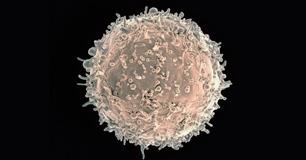 in-a-world-first,-a-patient’s-antibody-cells-were-just-genetically-engineered
