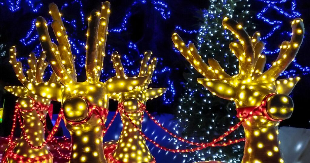 world-record-winning-christmas-lights-display-outraging-neighbors