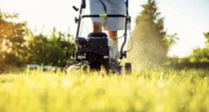use-gas-powered-lawn-mower,-go-to-jail,-dems-demand