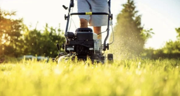 use-gas-powered-lawn-mower,-go-to-jail,-dems-demand