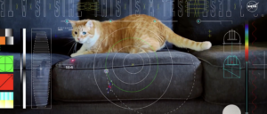 nasa-spacecraft-beams-cat-video-to-earth-from-19,000,000-miles-away
