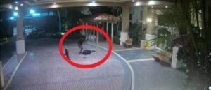 surveillance-video-appears-to-capture-execution-style-murder,-police-say:-report