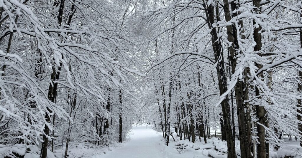 here’s-where-you-can-expect-to-have-a-chance-of-snow-in-the-us-this-christmas