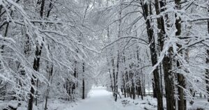 here’s-where-you-can-expect-to-have-a-chance-of-snow-in-the-us-this-christmas