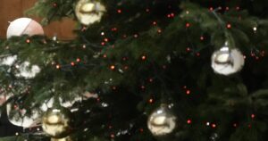 world’s-‘humblest-christmas-tree’-fetches-thousands-at-auction