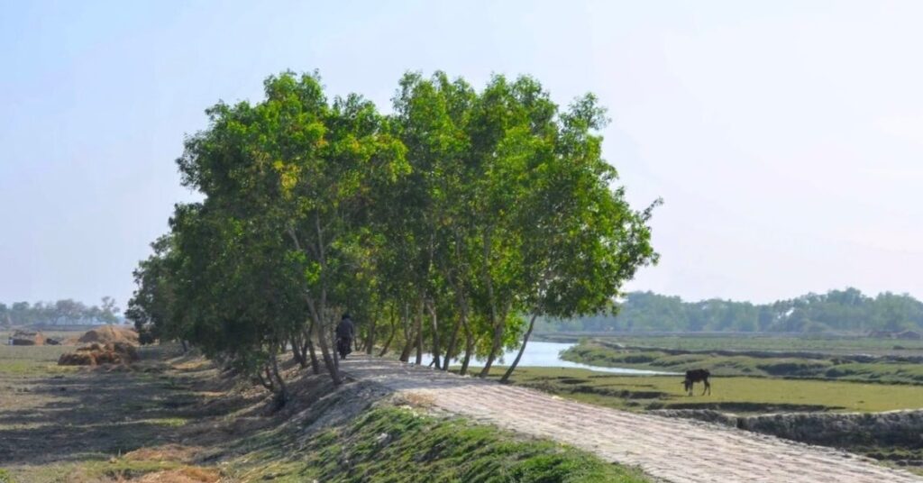 this-radical-plan-to-make-roads-greener-actually-works