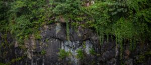 report:-tourist-falls-off-70-foot-cliff-in-state-park,-dies